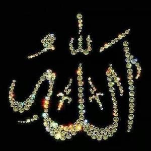 Meet your Posher, Mohammad sajjad